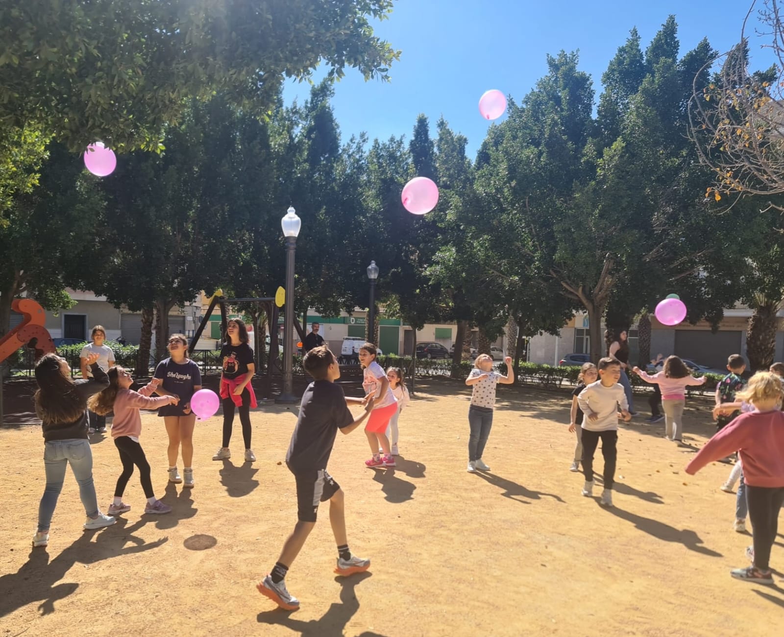 whatsapp image 2025 11 13 at 17.56.38 (1)